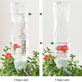 thumbnail image 4 of Kit de riego por goteo, 12 unidades, bebederos automáticos para plantas, dispositivos de riego con botellas de goteo con válvulas reguladoras de liberación lenta para interiores y exteriores, 4 of 5
