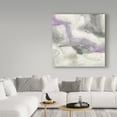 thumbnail image 3 of Trademark Fine Art 'Shades of Amethyst I' Canvas Art by Chris Paschke, 3 of 3