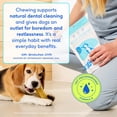 thumbnail image 4 of Native Pet Yak Dental Chews Himalayan Cheese Dog Treats for Dogs, Small 5ct, 4 of 10