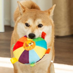 SIfdSeng Chien Plu.Sh Squeaky Flyi.Ng Di.Sc Jouet Interactif Self Entertainment Boredom Buster Dents Nettoyage et résistant à la chew Jouet chien Puzzle Jouet d'anniversaire Jouet animaux