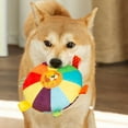 Porcupine Animal For Dogs The Dog Who Thought He Was Santa Stuffing For how-to-play-paradiddles-on-drums-audiolover