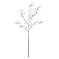 thumbnail image 1 of Vickerman FC180879 35 in. Mini Pink Dancing Orchid Spray, 1 of 3