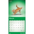thumbnail image 3 of Yoga Kittens OFFICIAL | 2026 12x24" (Hanging) Monthly Square Wall Calendar | Plato, 3 of 9