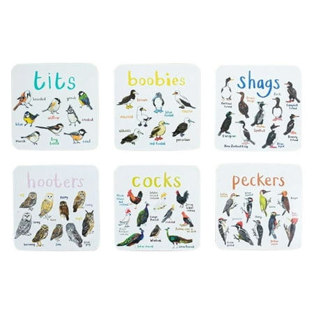 

Zexumo Bird Coasters 6PCS Handmade Coasters for Drinks Square PVC Bird Pun Cup Pad Reusable Home Decoration