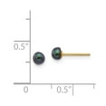 thumbnail image 3 of Real 14kt Yellow Gold 3-4mm Black Button FW Cultured Pearl Stud Post Earrings; for Adults and Teens; for Women and Men, 3 of 3