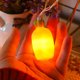 thumbnail image 5 of Easter Led Radish Light String Bunny Chicken Home Decor Lights Ambient Light String Easter Decoration, 5 of 5