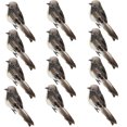 thumbnail image 1 of Fiudx Liquidación de ahorros de verano 12 piezas de simulación de plumas reales para decoración de jardinería, pájaro falso de espuma, gorrión, 1 of 1