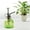 Green, variant on K-Cliffs Vintage Style Glass Bottle Sprayer, Decorative Ribbed Plant Mister With Top Pump Clear