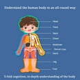 thumbnail image 5 of Educational Anatomy Puzzle Set for Kids Human Body Model Montessori Learning Toy to Explore Muscles Skeleton with Kid-Friendly Puzzles for Hands-On, 5 of 5