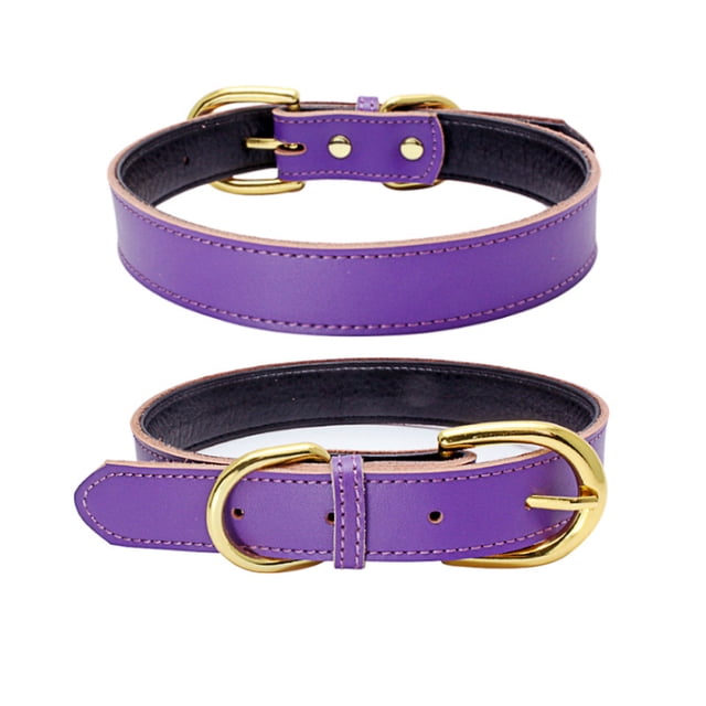 Collar básico clásico de cuero acolchado para mascotas, adecuado para perros de tamaño pequeño y mediano.