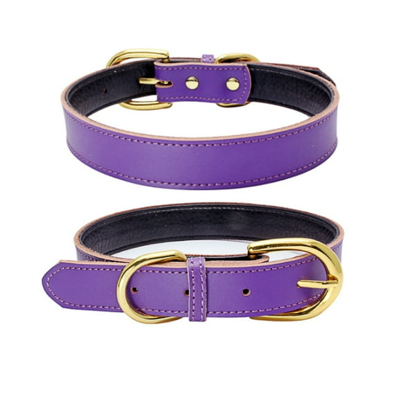 Basic Classic Padded Leather Pet Collar, Suitable For Small And Medium Sized Dogs