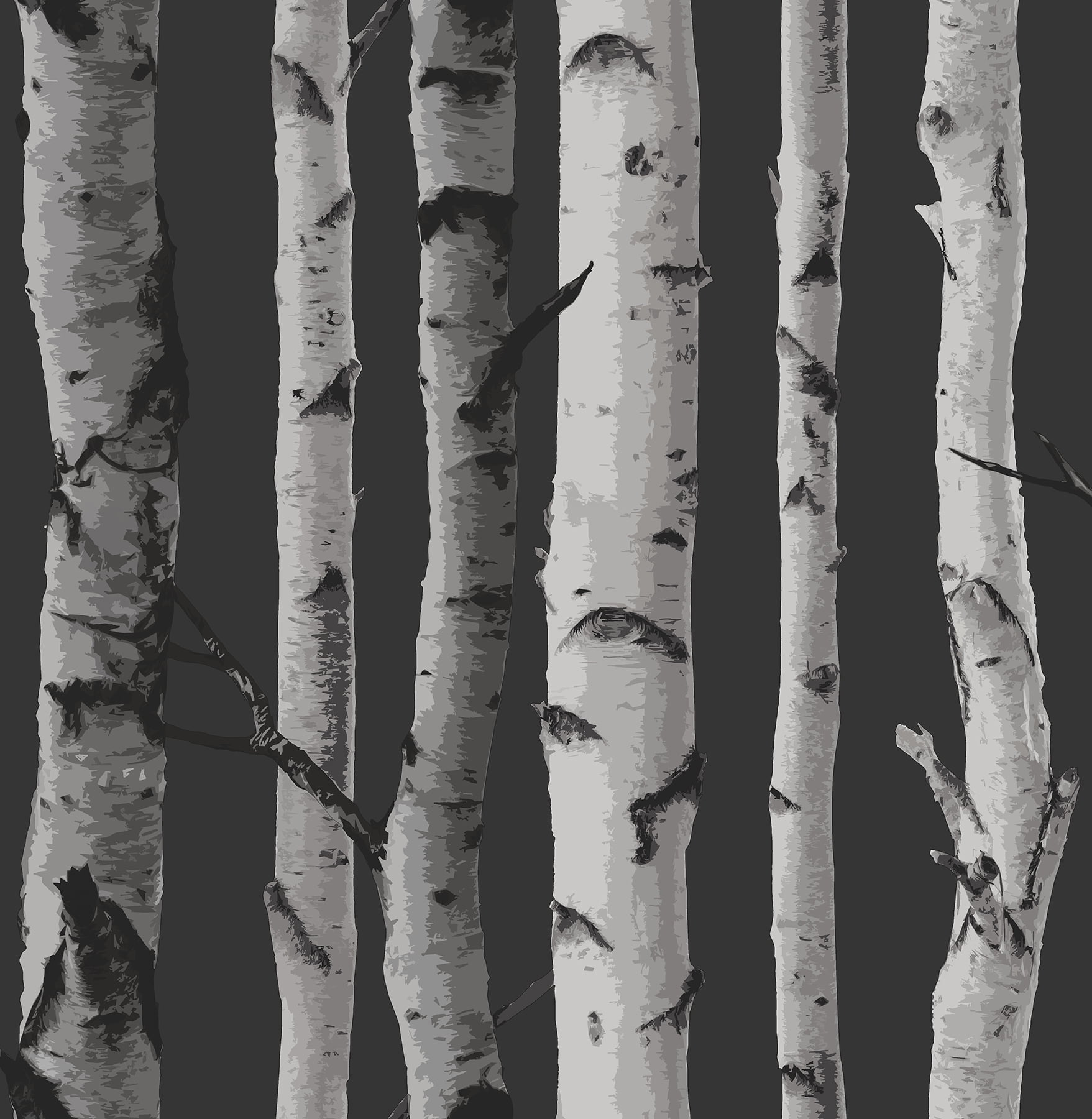 Fine Décor Distinctive Black Birch Tree Wallpaper