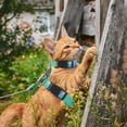 thumbnail image 2 of Unique Bargains Cat Harness and Leash Set Escape Proof for Cats Green, 2 of 7