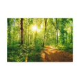 thumbnail image 4 of Green Forest Sunlight Nature Wilderness Photography Canvas Wall Art for Home Decor Ready-to-Hang, 4 of 18