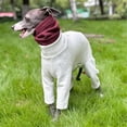thumbnail image 6 of HQREA Fullbody Greyhound Dog Winter Coat Clothes Turtleneck Four-Legged Dog Onesie Pajamas, 6 of 6