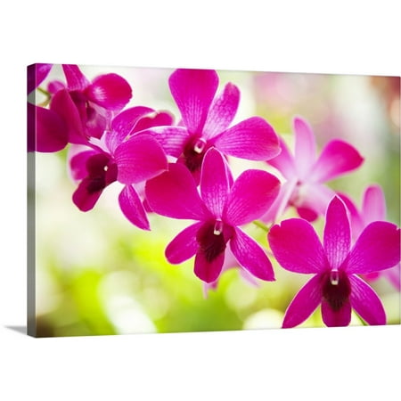 - Great BIG Canvas | Dana Edmunds Premium Thick-Wrap Canvas entitled Hawaii, Closeup Of Orchid Lei