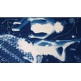 thumbnail image 5 of Cyanotype Set, 5 of 20