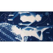 Cyanotype Set