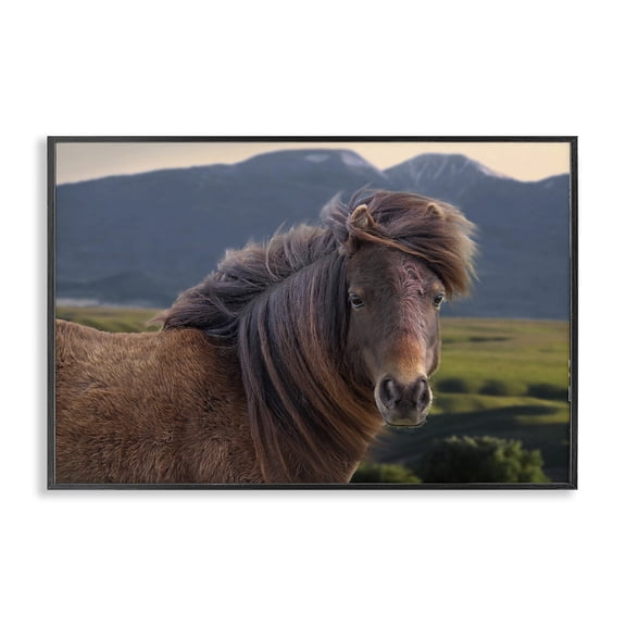 Stupell Industries Farmhouse Windblown Mare in Mountain Valley Black Framed Giclee Art, 18 x 12, by Steve Toole