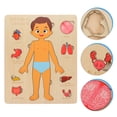 thumbnail image 4 of 4Set Children Organs Learning Toy Wooden Body Puzzle Toy Multi Color Jigsaw Ornament Educational School Tool, 4 of 8