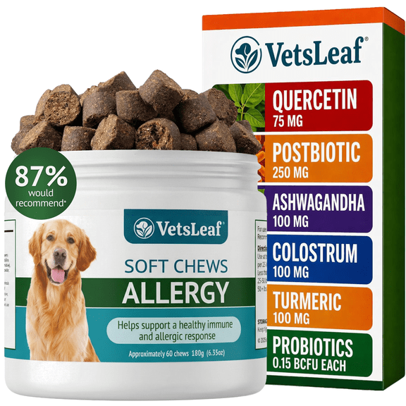 VetsLeaf Dog Allergy Chews for Itchy Skin, Hot Spots, Paw Licking Relief & Itchy Ears – Quercetin, Turmeric, Probiotics & Colostrum – Made in USA – 60 Count