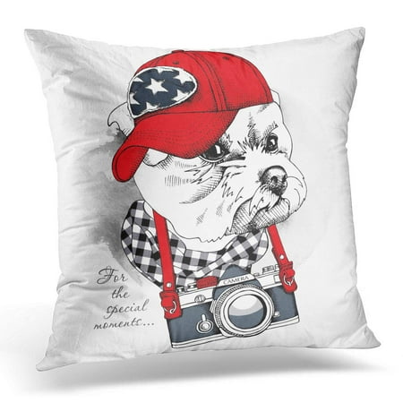 Bosdeco Puppy Portrait Of Dog Maltese In Red Cap With The Camera