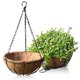 thumbnail image 4 of Cesta colgante mediana de 25 cm cesta colgante maceta palma de pastoral colgante de pared plantas suculentas maceta colgante se puede vender en múltiples ANGGREK Otros, 4 of 8