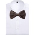thumbnail image 2 of GFDYREE 12 Pcs Petit Nœud Papillon Formel Ajustable Pré-Noué pour Hommes par avant Men, 2 of 7