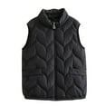 thumbnail image 4 of Women's Lightweight Down Vest, Sleeveless Quilted Puffer Jacket with Cotton Blend Shell, Warm Winter Insulated Vest, Slim Fit Casual Sleeveless Coat for Women, Cold Weather Thermal Vest Black XXXL, 4 of 4