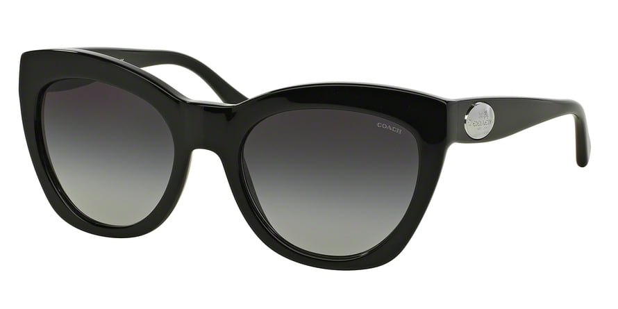 COACH Sunglasses HC 8151 500211 Black 54MM - Walmart.com