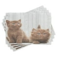thumbnail image 1 of Ambesonne Animal Place Mats Set of 4, Kitten, Standard Size, Caramel White, 1 of 6