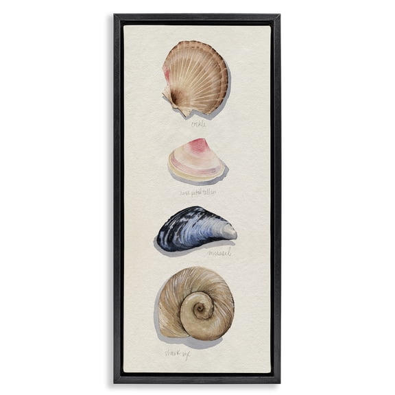 Stupell Industries Coastal Traditional Nautical Sea Shells Black Floating Frame Canvas Art, 11 x 25, by Grace Popp