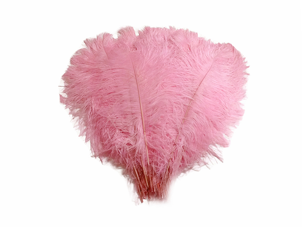 light pink ostrich feathers