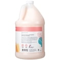 thumbnail image 2 of Ginger Lily Farms Botanicals Moisturizing Shampoo for All Hair Types, Champagne Mimosa, 100% Vegan & Cruelty-Free, Citrus Blend Scent, 1 Gallon (128 fl oz) Refill, 2 of 6