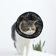 thumbnail image 1 of Forest Guitar Soft Cat Dog Recovery Collar Adjustable Cat Cone Wound Healing Protective After Surgery for Kitten and Small Dogs, 1 of 7
