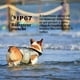 thumbnail image 4 of Meloive Collar de Adiestramiento para Perros Recargable y Resistente al Agua IP67 con 800 m de Distancia con 99 Niveles de vibración, Descarga eléctrica, Modo de Sonido., 4 of 5