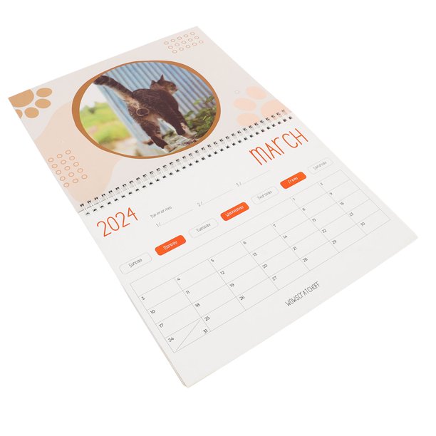 Cat Calendar Cat Balls 2024 Calendar 12 Month Funny Cat Balls Calendar