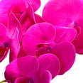 thumbnail image 7 of Artificial Real Touch Orchid Flowers - Fake Phalaenopsis Flower Arrangement for Home Table Office Wedding Party Decoration, 7 of 7