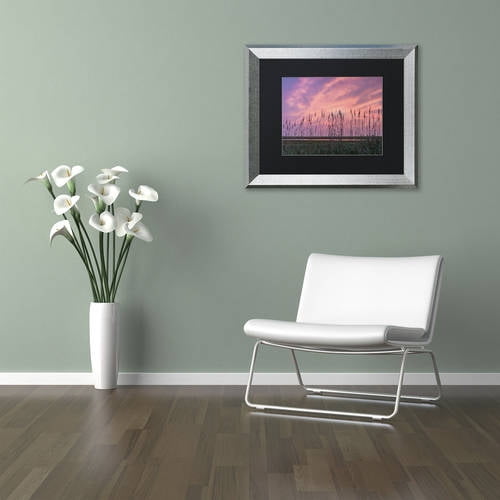 Trademark Fine Art "Marsh Reeds" Canvas Art by Michael Blanchette Photography Black Matte, Silver Frame