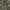 Woodland, variant on Propper Men's BDU Coat  - 100% Cotton Ripstop