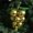 golden, variant on ZZkhGO Christmas Simulation Grape String Lights, Plastic Bright LED Tree Pendant Decoration, Hanging Mood Scene Arrangement for Party