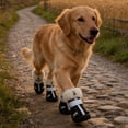 thumbnail image 4 of Pack Of 4 Thick Shoes With Winter Shoes For Small For Outdoor And Winter, 4 of 7