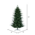 thumbnail image 3 of Vickerman 9' x 66" North Shore Fraser Fir Artificial Christmas Tree, Unlit, 3 of 5