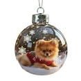 thumbnail image 1 of Hangs Animal 2D Flat Plate Transparent Handmade Winter Series Festival Seasonal Natural Acrylic Decorations, 1 of 4