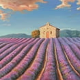 thumbnail image 3 of Galasso, Adriano 15x15 Black Modern Framed Museum Art Print Titled - Campi di lavanda, 3 of 5