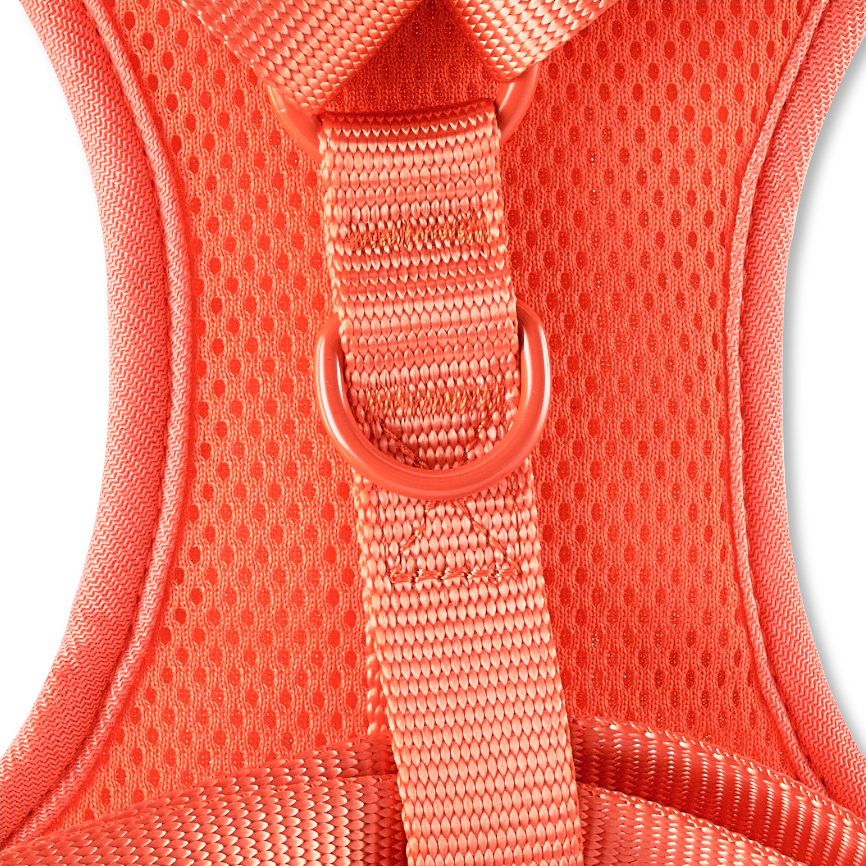 Vibrant Life Floral Dog Walking Harness, Red, M (17" to 20" Chest Size)