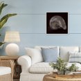 thumbnail image 3 of Seashell Treasure of Sea White Framed Giclee Art, 17 x 17, Made In USA, 3 of 7