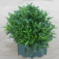 thumbnail image 4 of CIMAXIC Garden Decor Plastic Fence Green Pp Plastic Realistic Style For Landscape Decor Simple And Elegant 20Pcs, 4 of 4