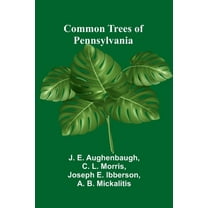 Common Trees Of Pennsylvania, (Paperback)