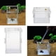 thumbnail image 5 of Caja de transporte para alimentación y cría de reptiles pequeños (tamaño grande) L, 5 of 9